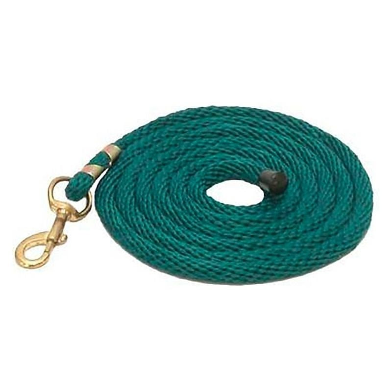 Gatsby Poly 10ft Lead/Snap - Teal - 10