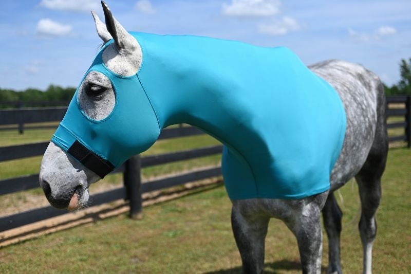 StretchX Mane Stay Hood - Teal - Medium (800-1100lbs)