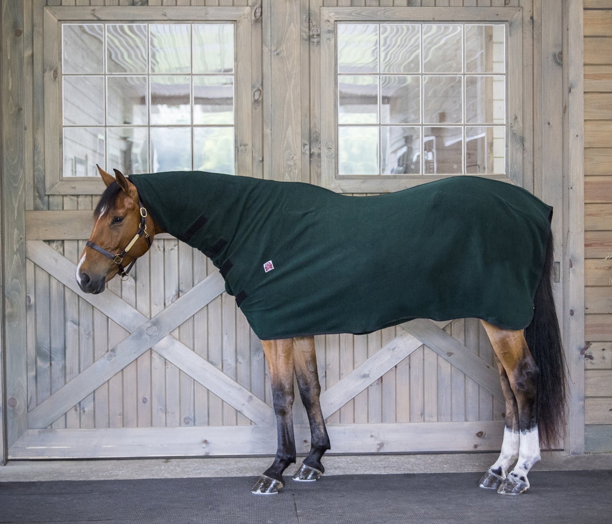 WikSmart Premium Cooler - Forest Green - X-Small (60 - 64)
