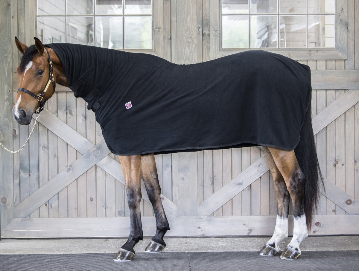 WikSmart Premium Cooler - Navy - X-Small (60 - 64)