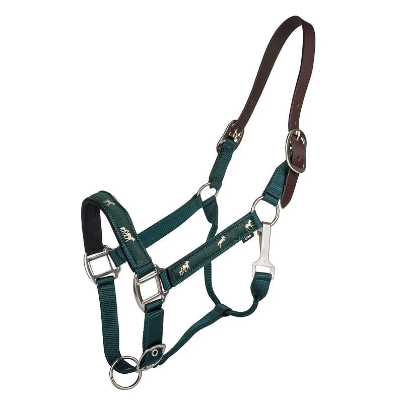 Gatsby Nylon Breakaway Halter Overlay - Hunter - Cob