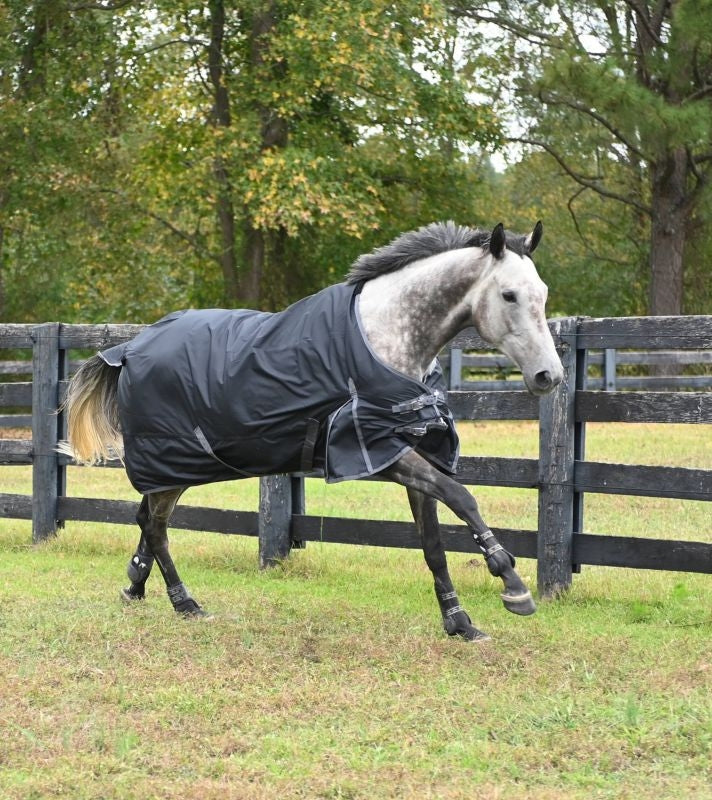 Gatsby 600D Waterproof Turnout Sheet - Black with Grey Trim - 72