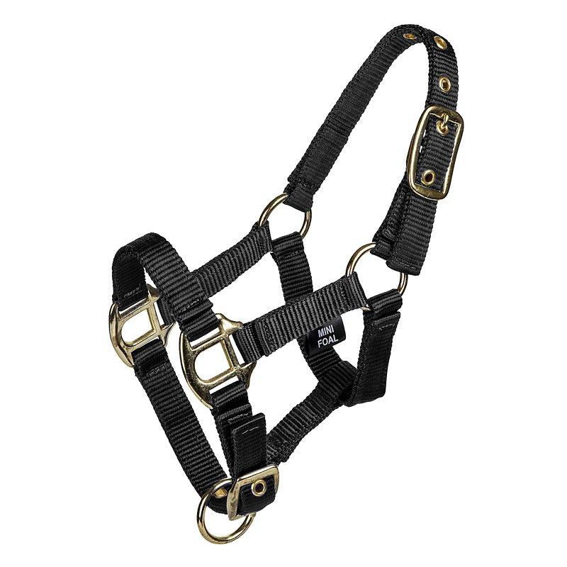 Gatsby 2-ply Nylon Mini Halter - Black - Mini Foal