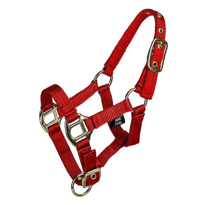 Gatsby 2-ply Nylon Mini Halter - Black - Mini Weanling