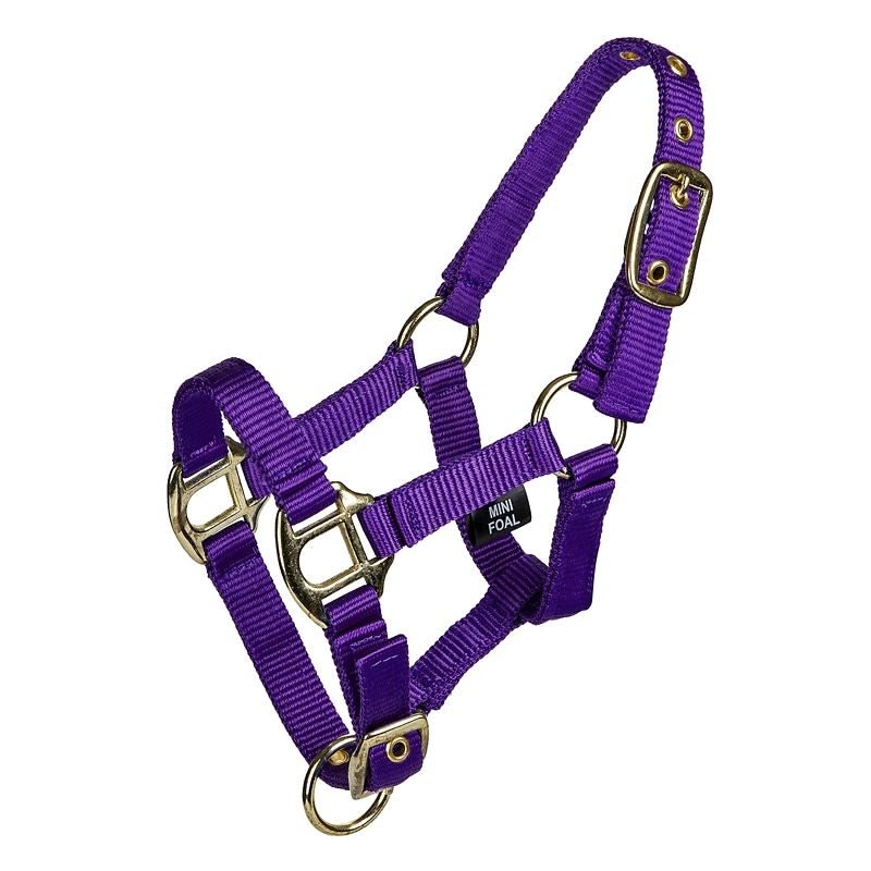 Gatsby 2-ply Nylon Mini Halter - Royal - Mini Weanling