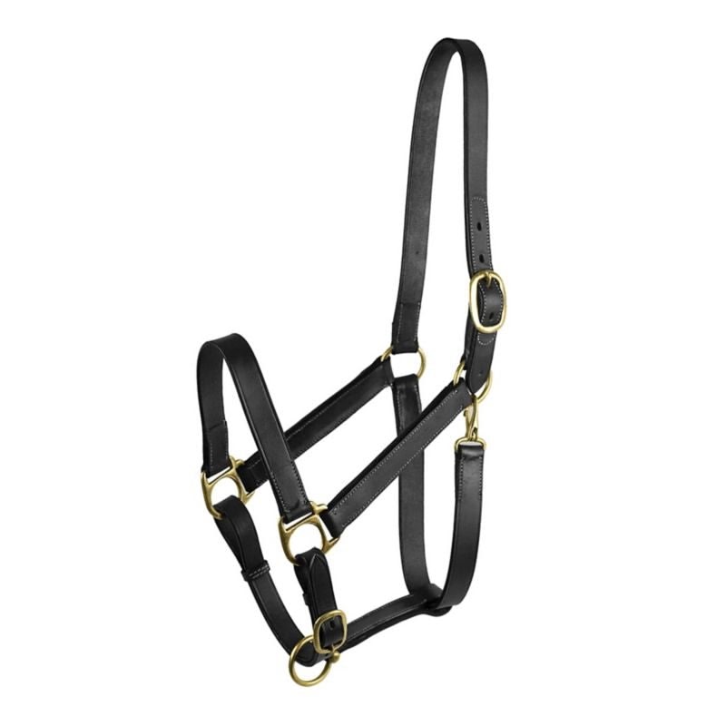Gatsby Adj Turnout Halter with Snap - Black - Cob