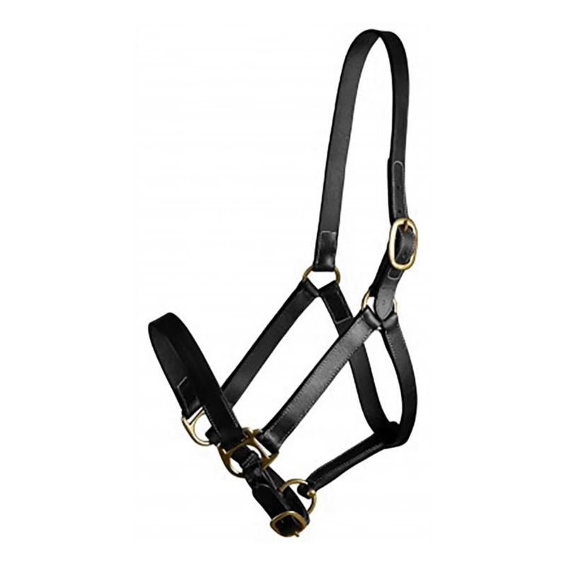 Gatsby Adj Turnout Halter No Snap - Black - Horse