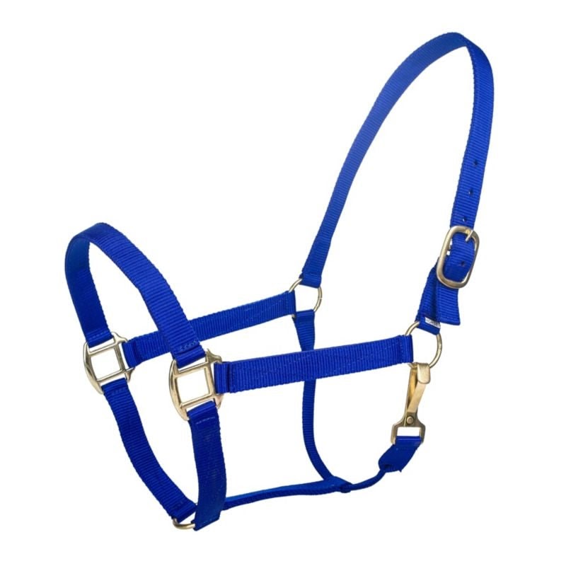 Tabelo Nylon Halter with Snap - Blue - Suckling