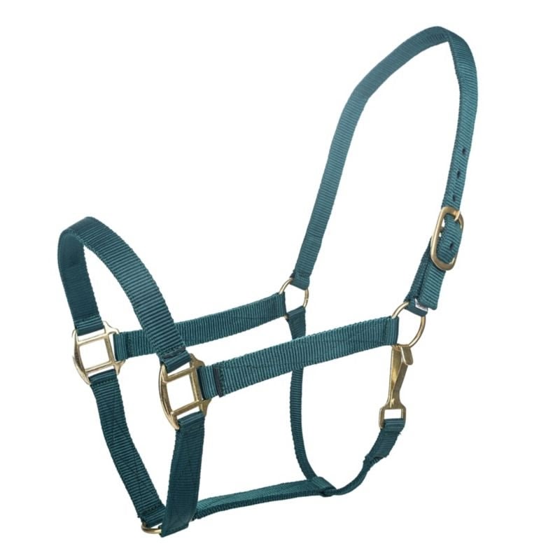 Tabelo Nylon Halter with Snap - Green - Suckling