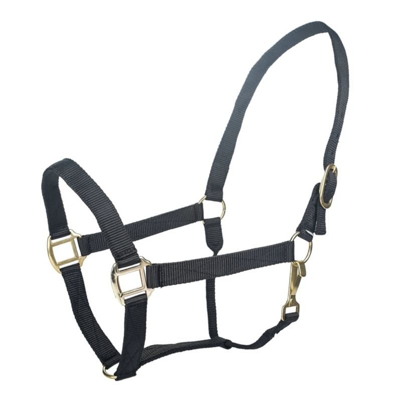 Tabelo Nylon Halter with Snap - Black - XL-Horse