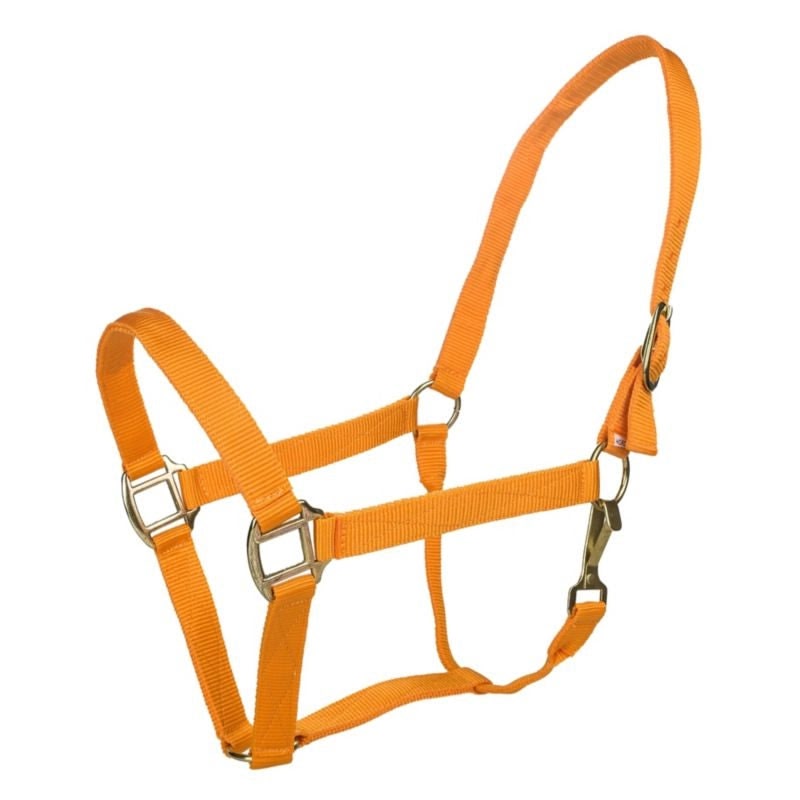 Tabelo Nylon Halter with Snap - Orange - XL-Horse