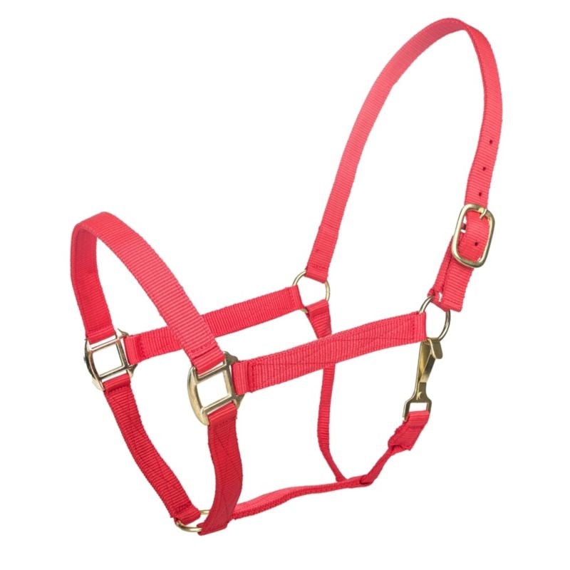 Tabelo Nylon Halter with Snap - Red - XL-Horse
