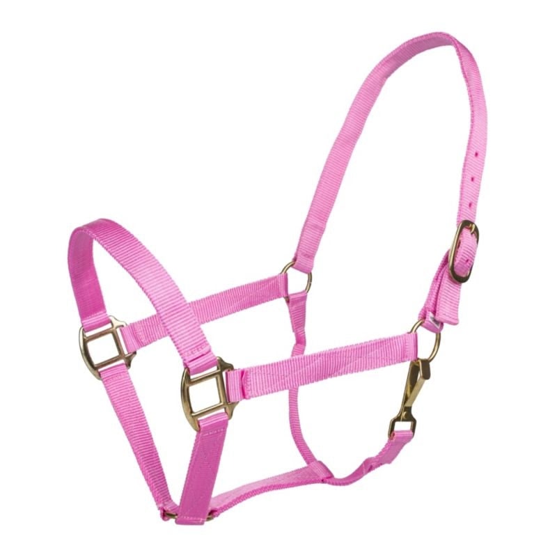 Tabelo Nylon Halter with Snap - Pink - Cob