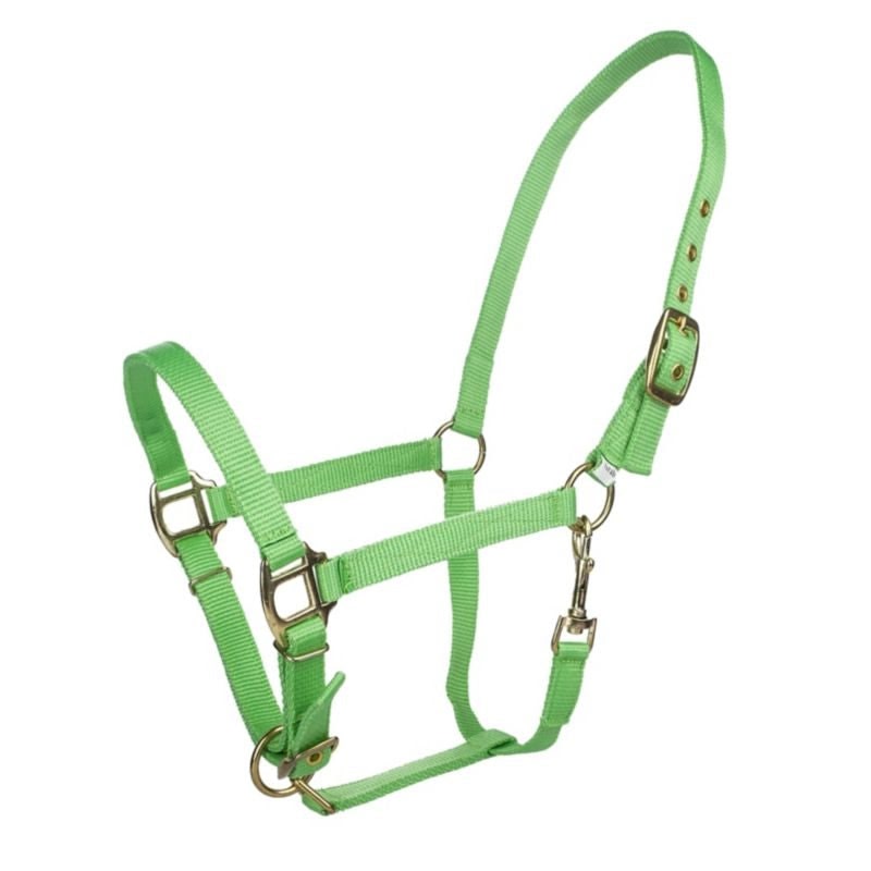 Tabelo Arab Nylon Halter with Snap - Lime - Arab