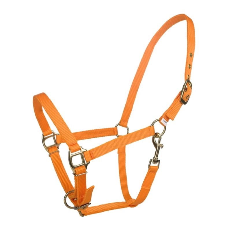 Tabelo Arab Nylon Halter with Snap - Orange - Arab
