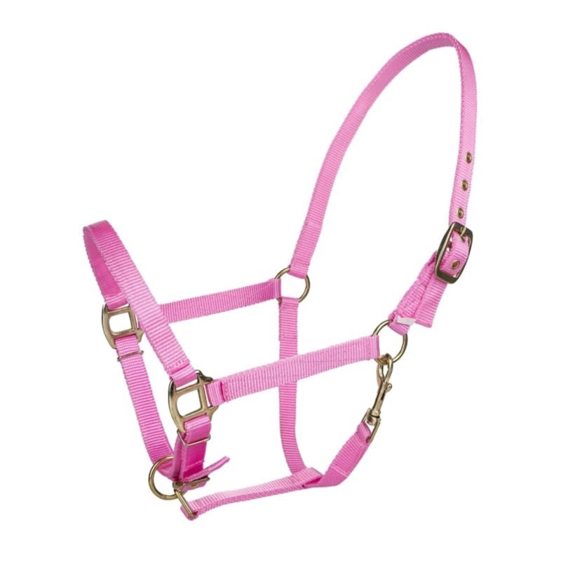 Tabelo Arab Nylon Halter with Snap - Pink - Arab