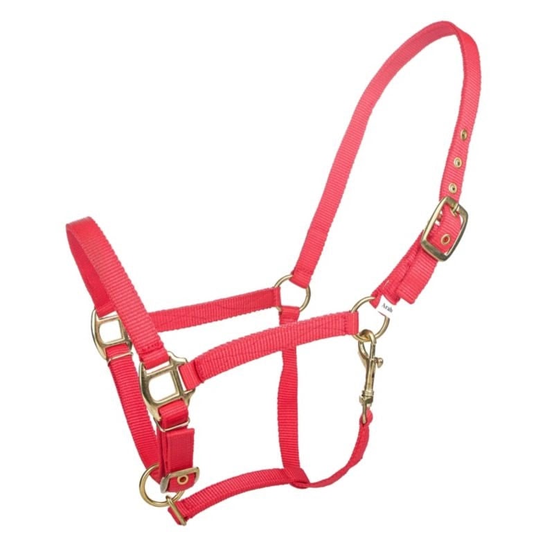 Tabelo Arab Nylon Halter with Snap - Red - Arab