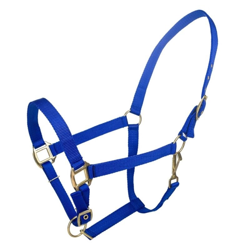 Tabelo Nylon Halter with Adj Chin - Blue - Cob