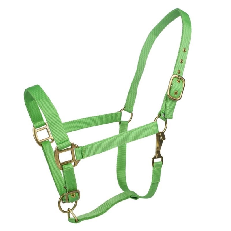 Tabelo Nylon Halter with Adj Chin - Lime - Cob