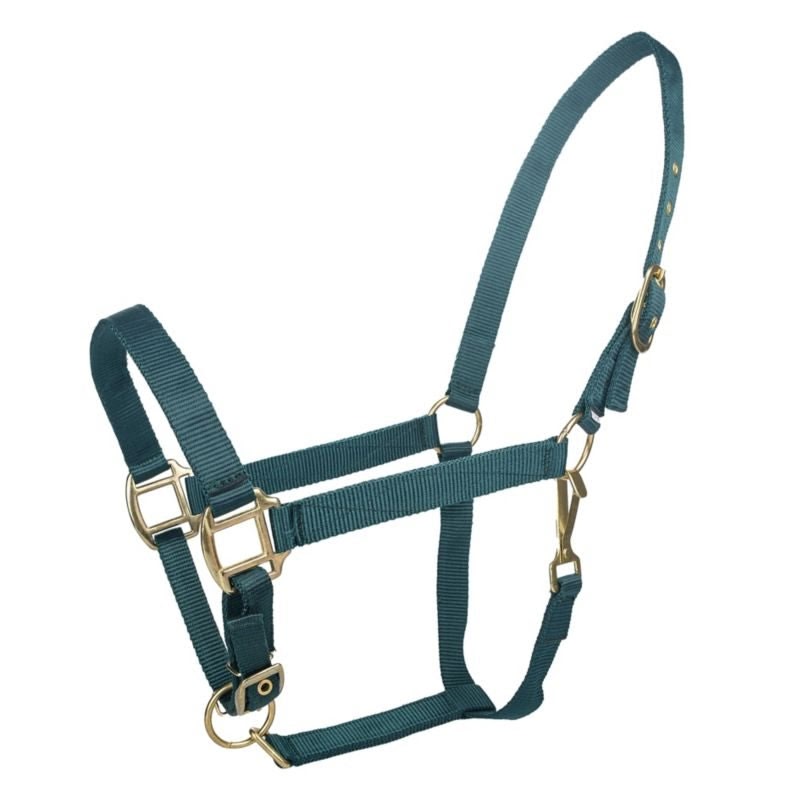 Tabelo Nylon Halter with Adj Chin - Hunter - Horse