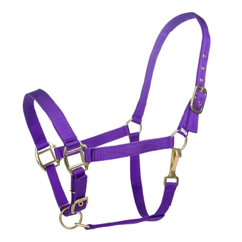Tabelo Nylon Halter with Adj Chin - Purple - Horse
