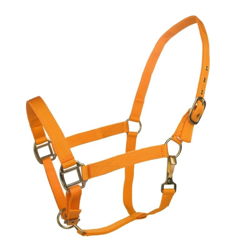 Tabelo Nylon Halter with Adj Chin - Orange - XL-Horse