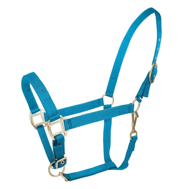 Tabelo Nylon Halter with Adj Chin - Turquoise - XL-Horse
