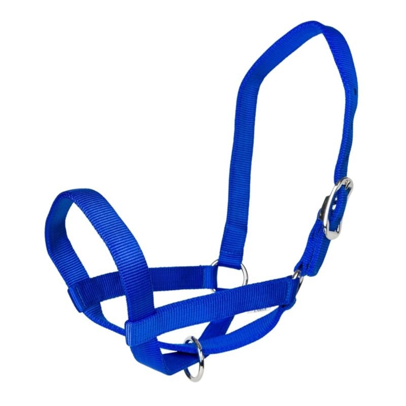 Gatsby Nylon Cattle Halter - Blue - S