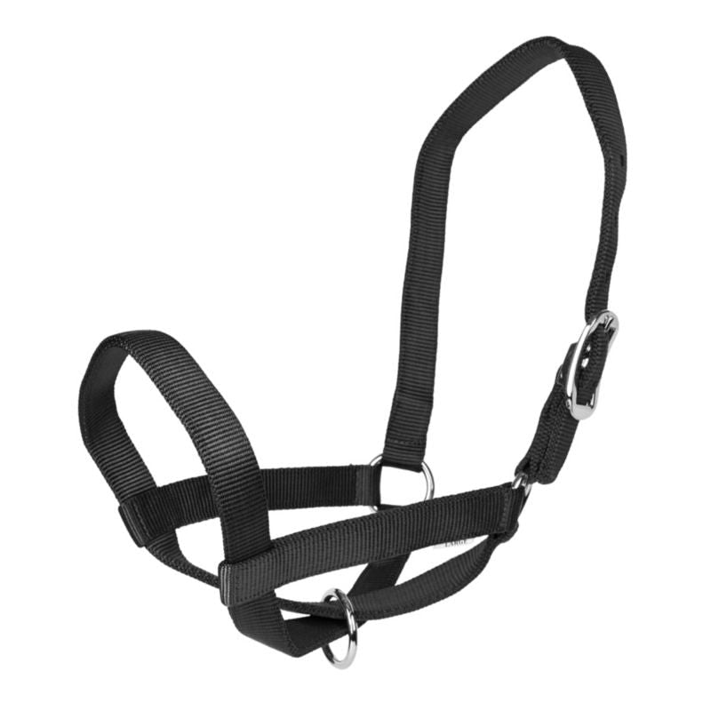 Gatsby Nylon Cattle Halter - Black - XL