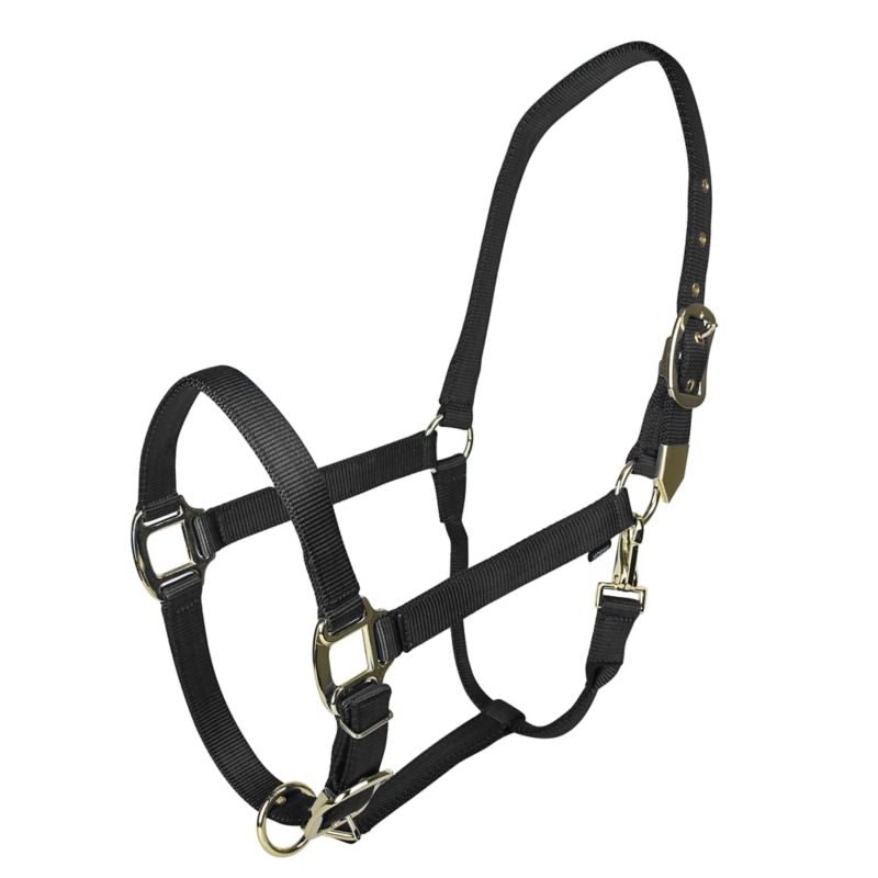 Gatsby Gold Adjustable Nylon Halter - Black - Pony