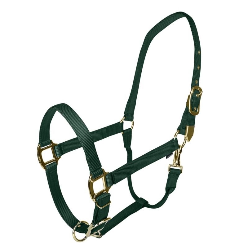 Gatsby Gold Adjustable Nylon Halter - Blue - Pony