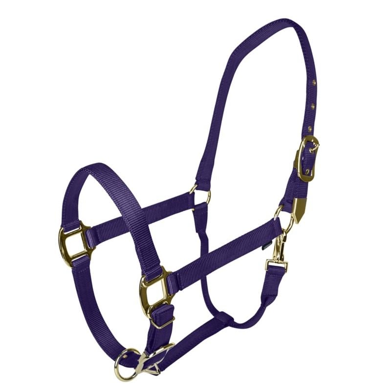 Gatsby Gold Adjustable Nylon Halter - Black - Oversize