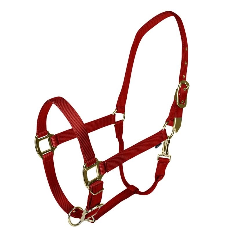 Gatsby Gold Adjustable Nylon Halter - Blue - Cob