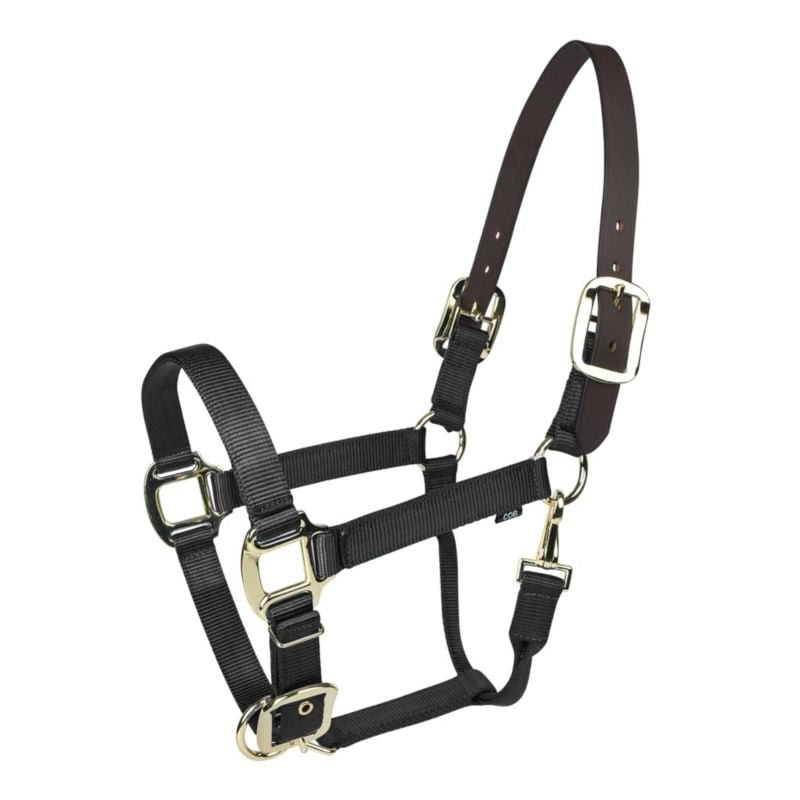Gatsby Gold Nylon Breakaway Halter - Black - Cob