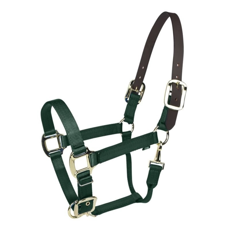 Gatsby Gold Nylon Breakaway Halter - Hunter - Oversize
