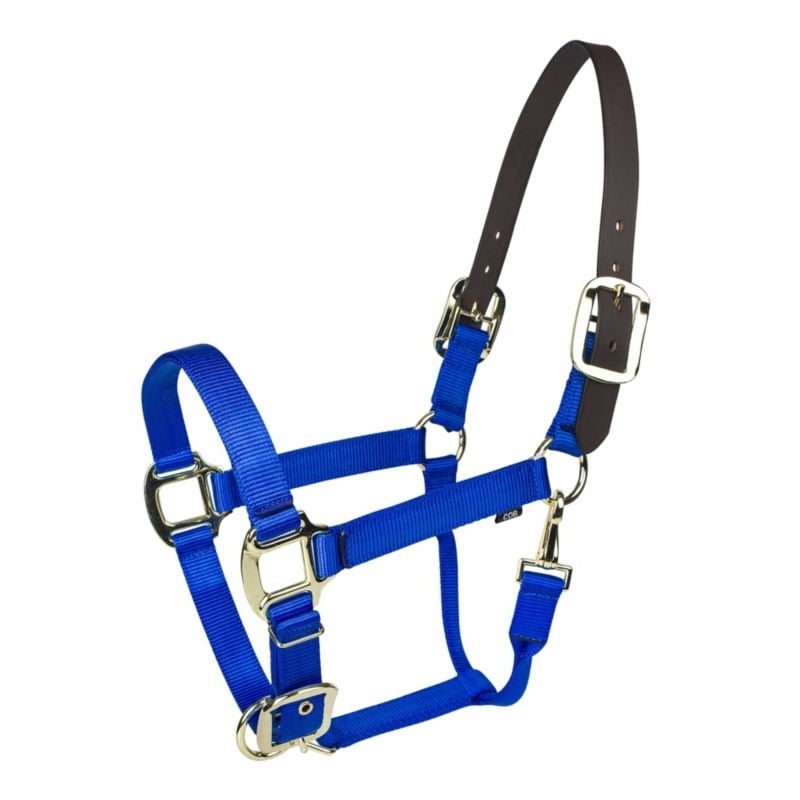 Gatsby Gold Nylon Breakaway Halter - Blue - Pony