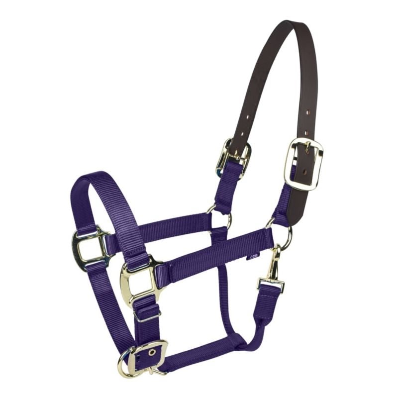 Gatsby Gold Nylon Breakaway Halter - Purple - Pony