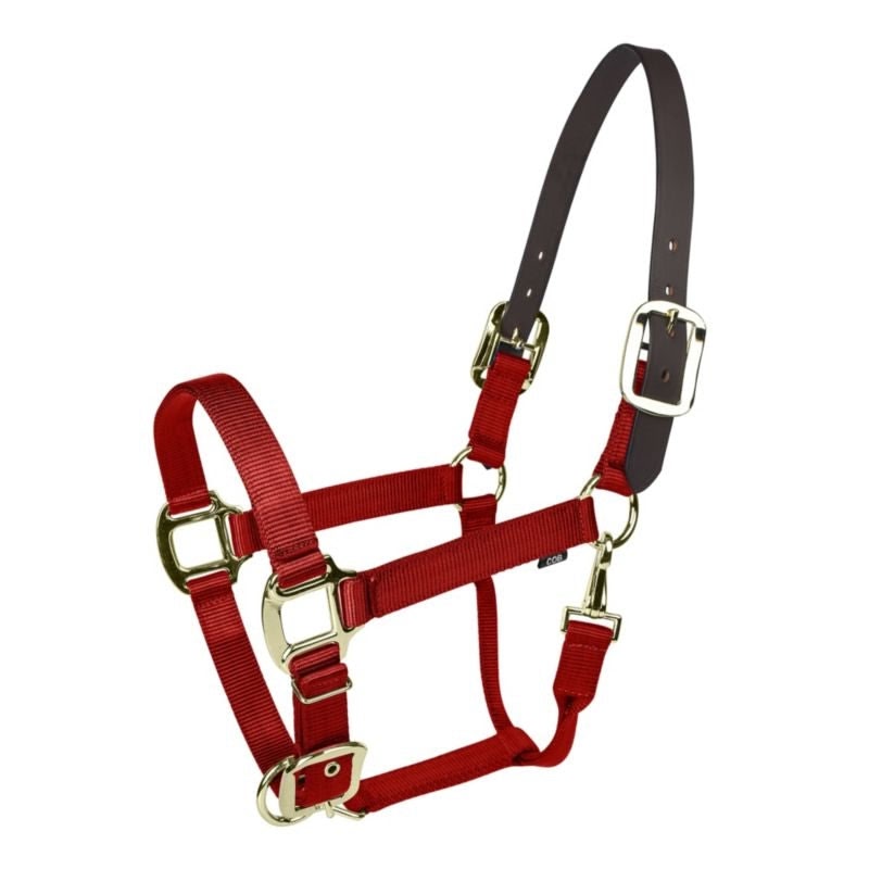 Gatsby Gold Nylon Breakaway Halter - Red - Pony