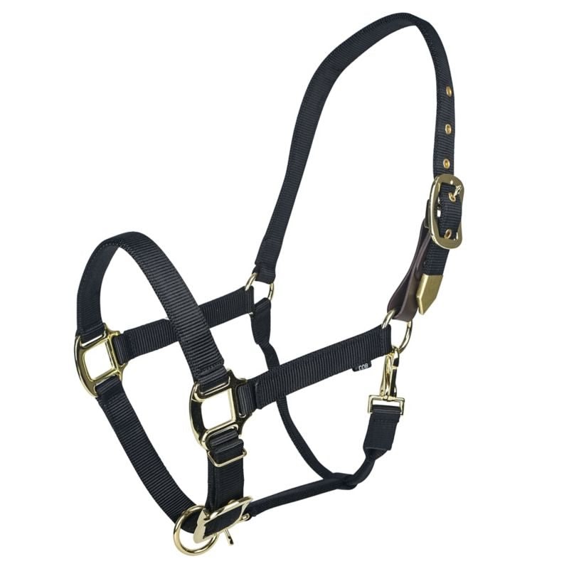Gatsby Gold Safety Breakaway Halter - Black - Pony
