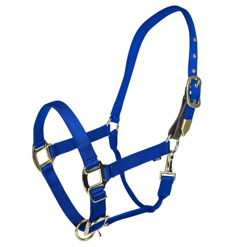 Gatsby Gold Safety Breakaway Halter - Black - Cob