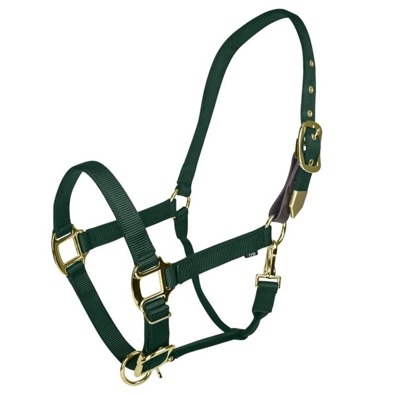Gatsby Gold Safety Breakaway Halter - Blue - Pony
