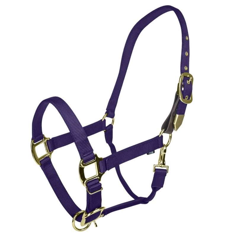 Gatsby Gold Safety Breakaway Halter - Black - Oversize