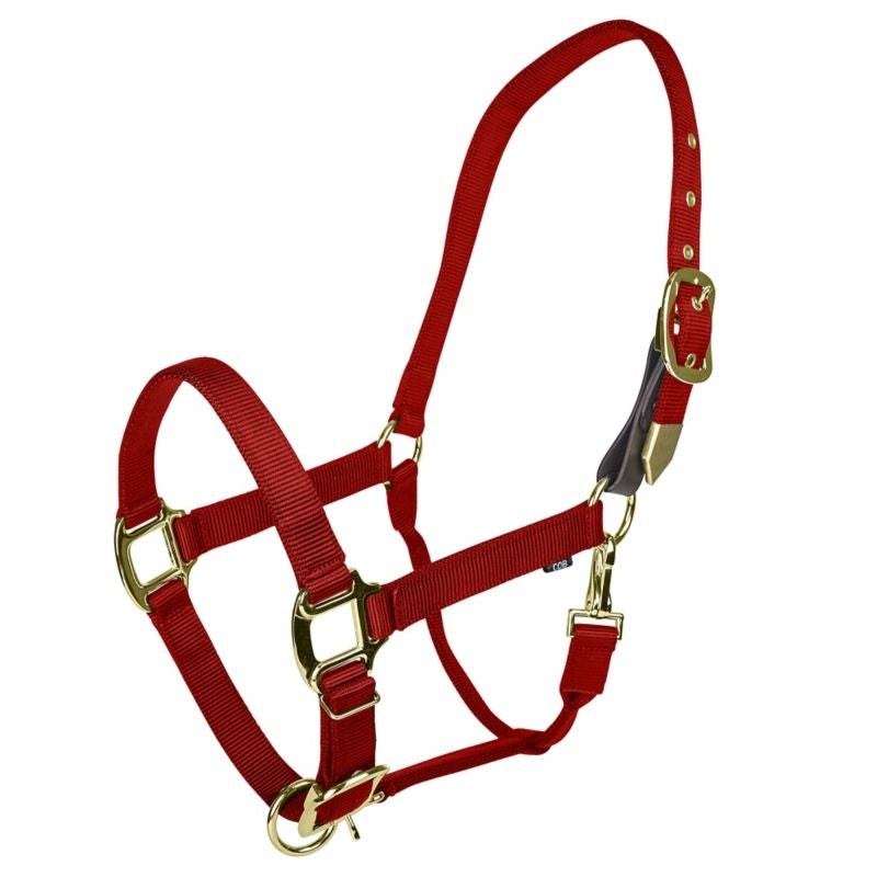 Gatsby Gold Safety Breakaway Halter - Blue - Cob