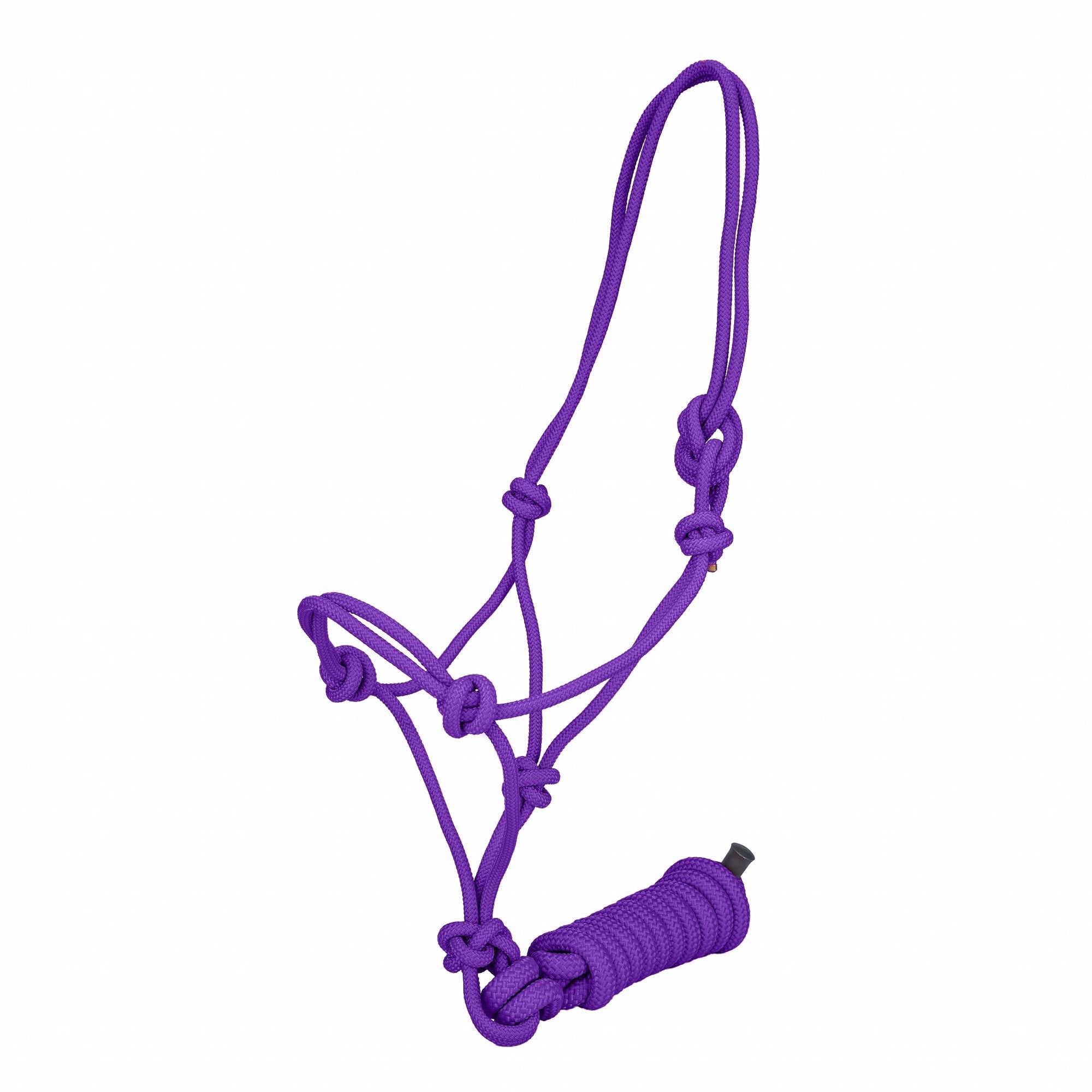 Tabelo active Rope Halter with Lead - Purple - active