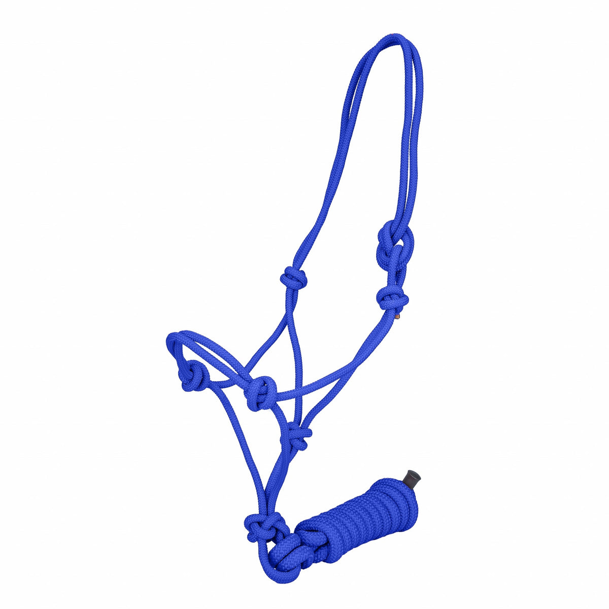 Tabelo active Rope Halter with Lead - Royal Blue - active