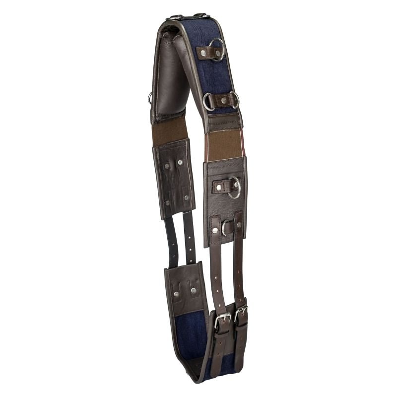 Gatsby Leather Training Surcingle with Webbing - Havanna with Navy - 67"