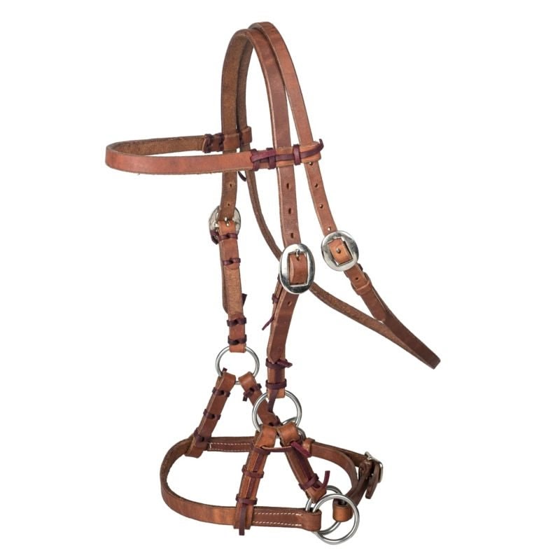Tabelo Sidepull Brown with Latigo - Harness W/ Latigo - Horse