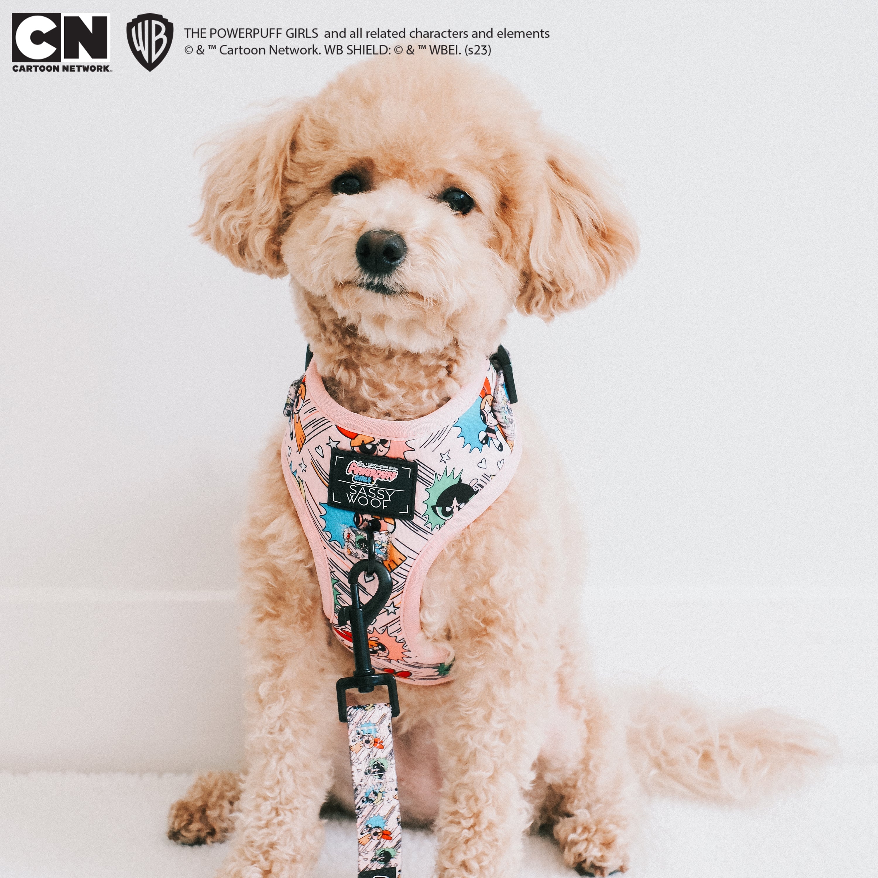 Dog Adjustable Harness - The Powerpuff Girls™ (Pink)