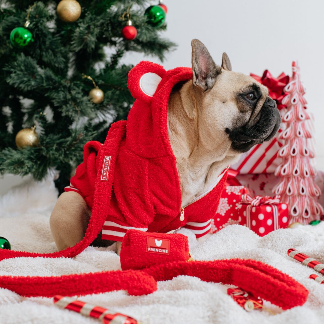 Frenchie Dog Hoodie - Teddy Red