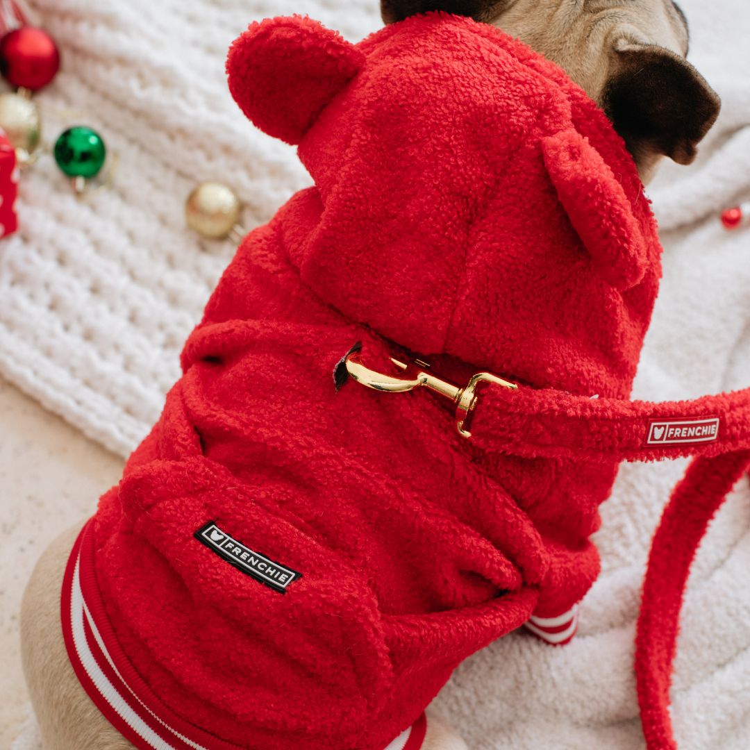 Frenchie Dog Hoodie - Teddy Red